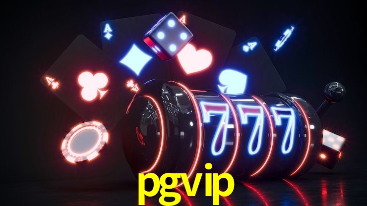 Experiência VIP pgvip