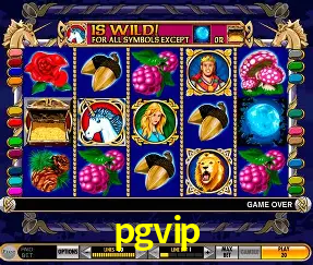 Descubra a Essência do pgvip: Nossa História e Compromissos